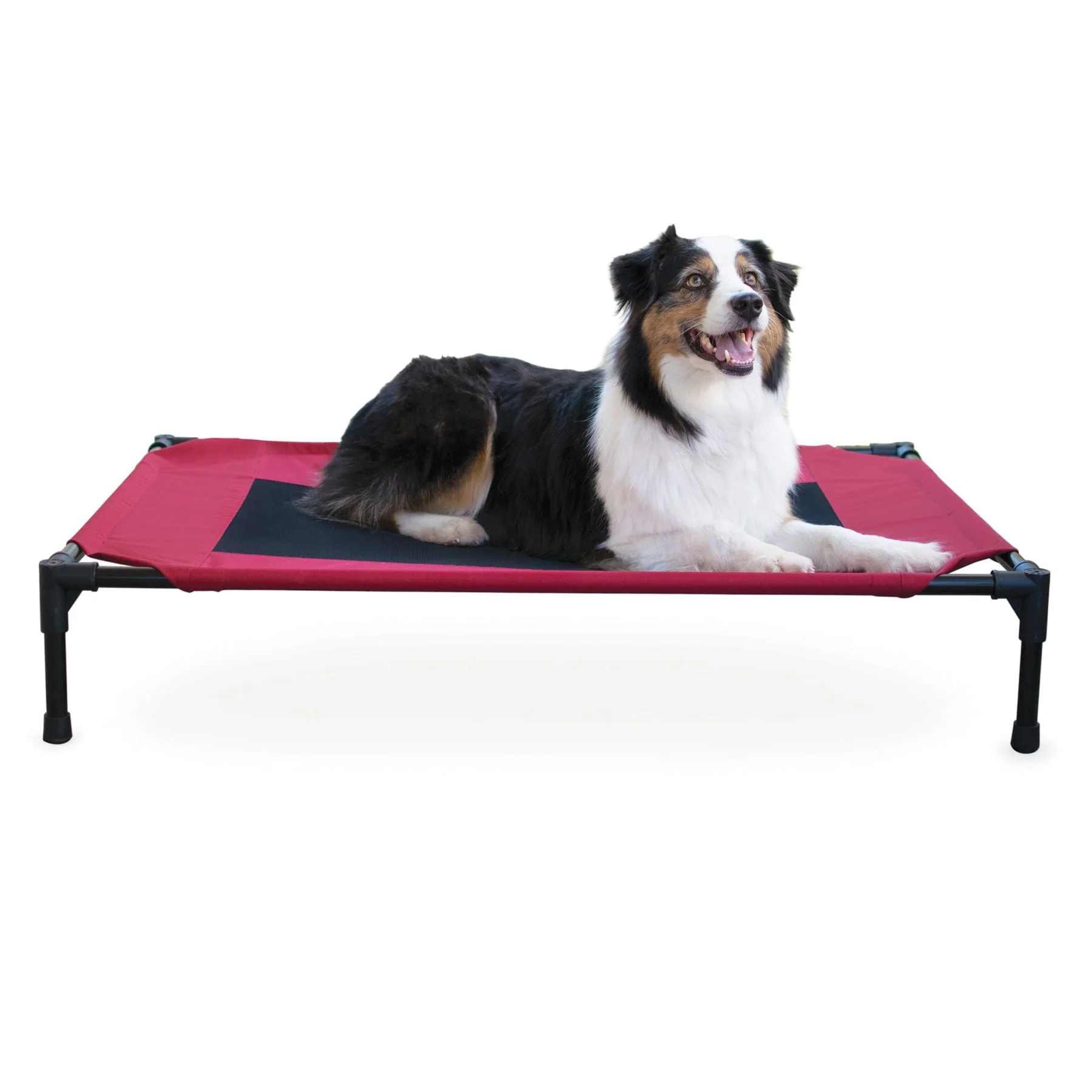 K&H Elevated Dog Bed, Small to X-Large - Pet's Shop