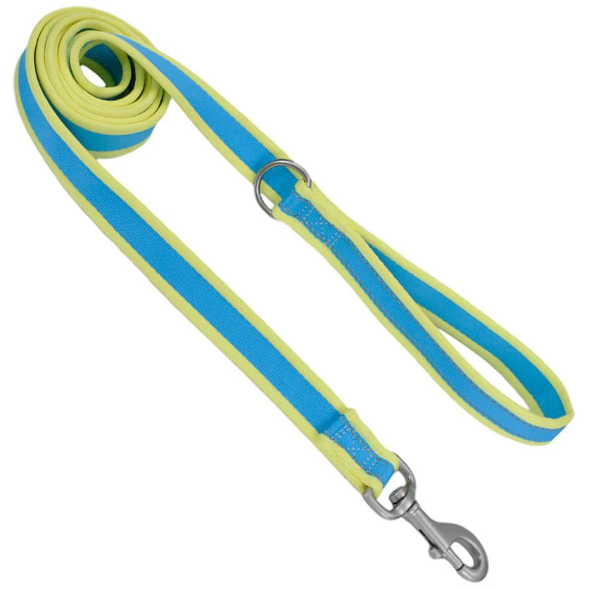 Coastal Pet Attire Pro Nylon Dog Leash, 6' x 3/4