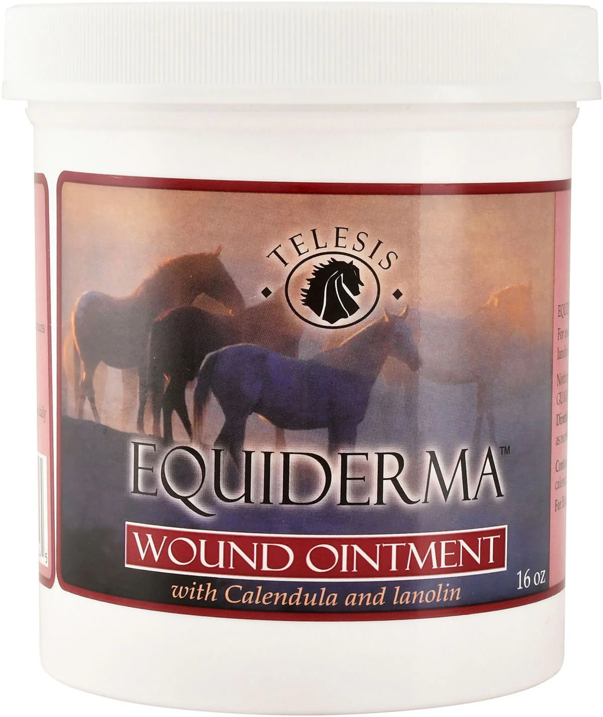 Equiderma Wound Ointment - Pet's Shop