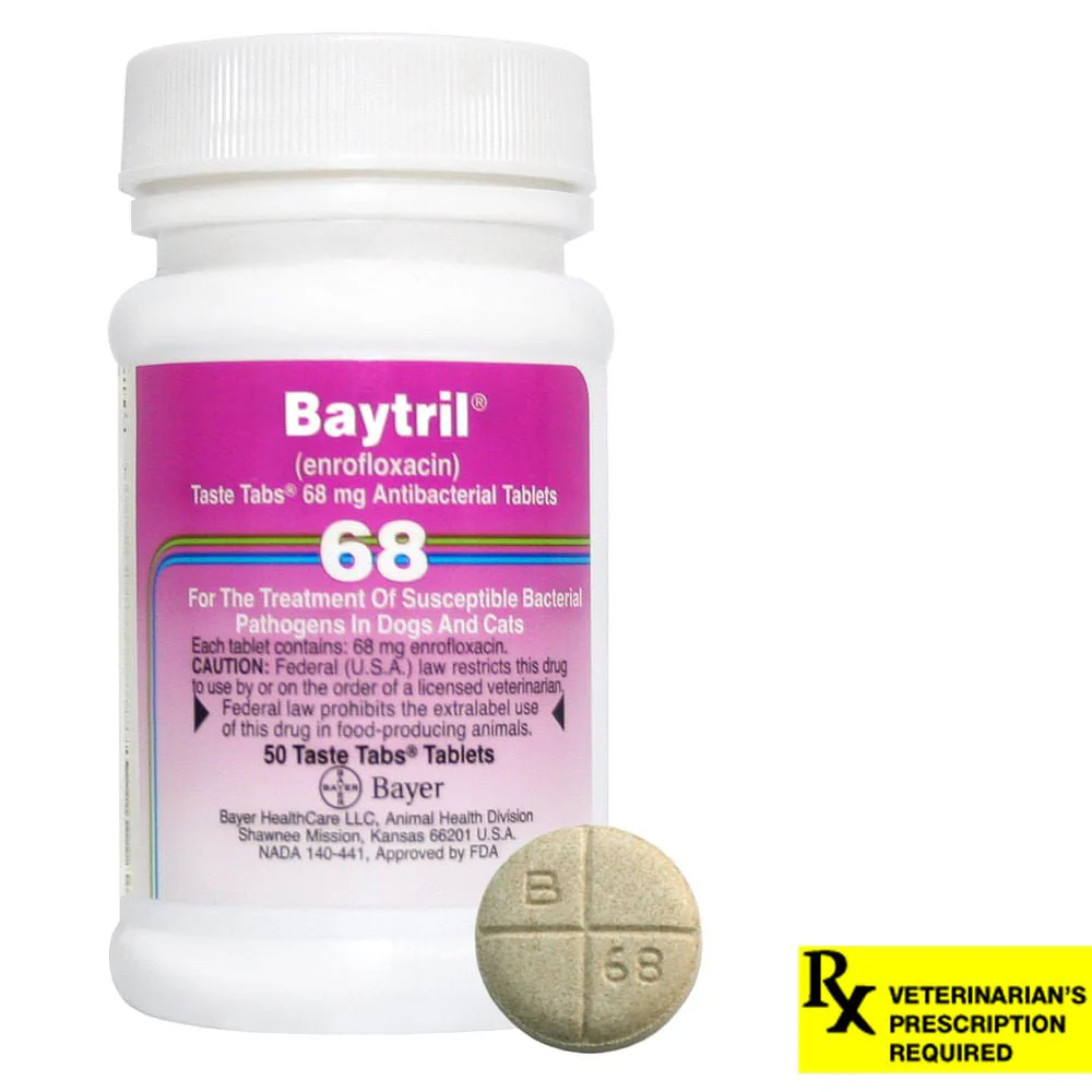Rx Baytril for Dogs and Cats (Tablets) - Pet's Shop