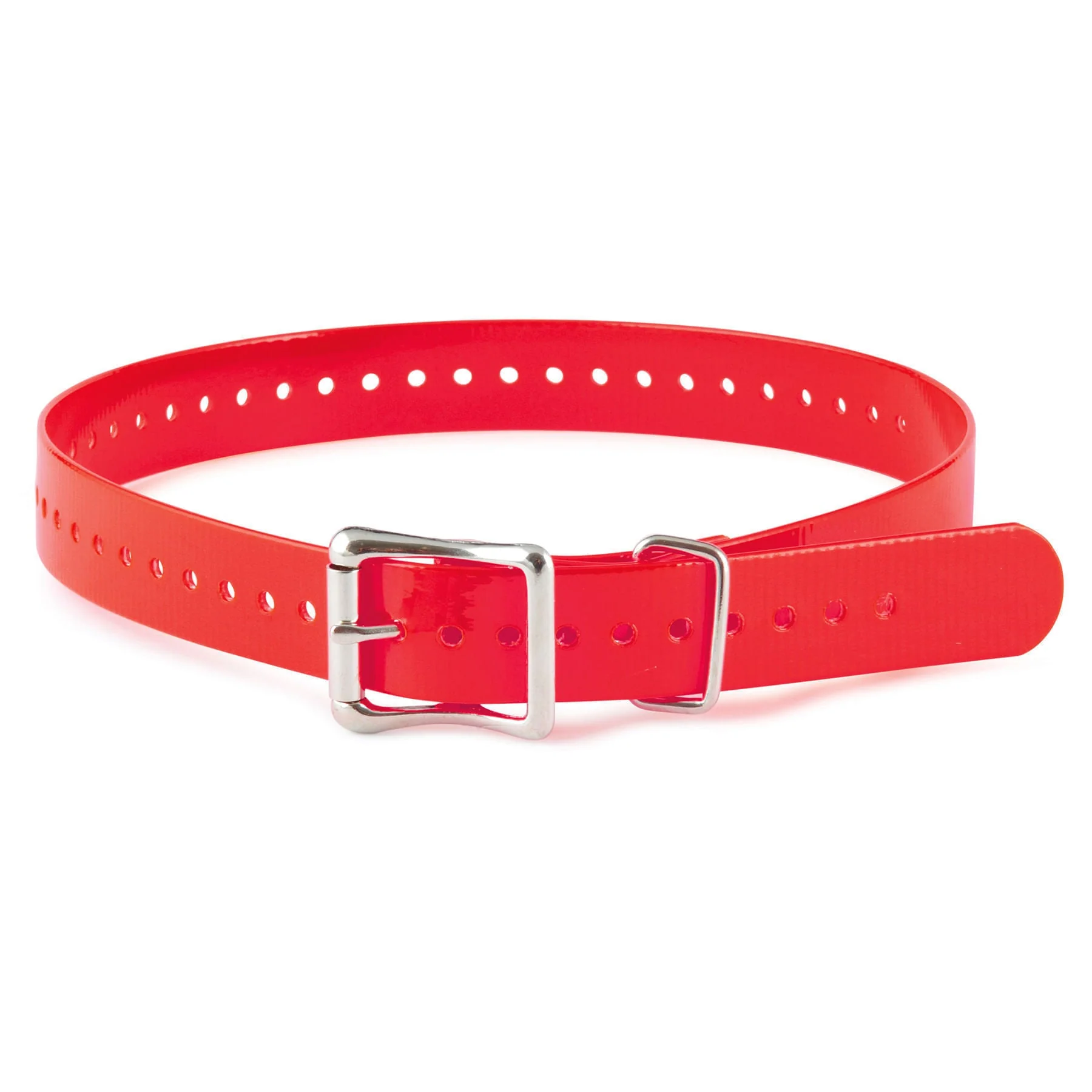 SportDOG Collar Strap, 1