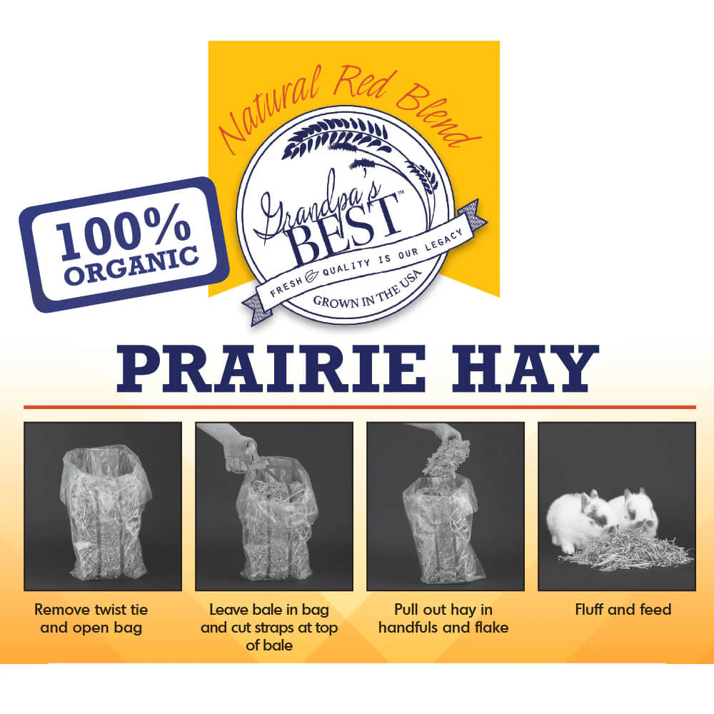 Grandpa's Best Prairie Hay - Pet's Shop