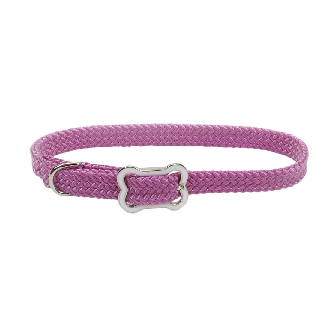 Sunburst Dog Collar with Bone Buckle - Pet's Shop