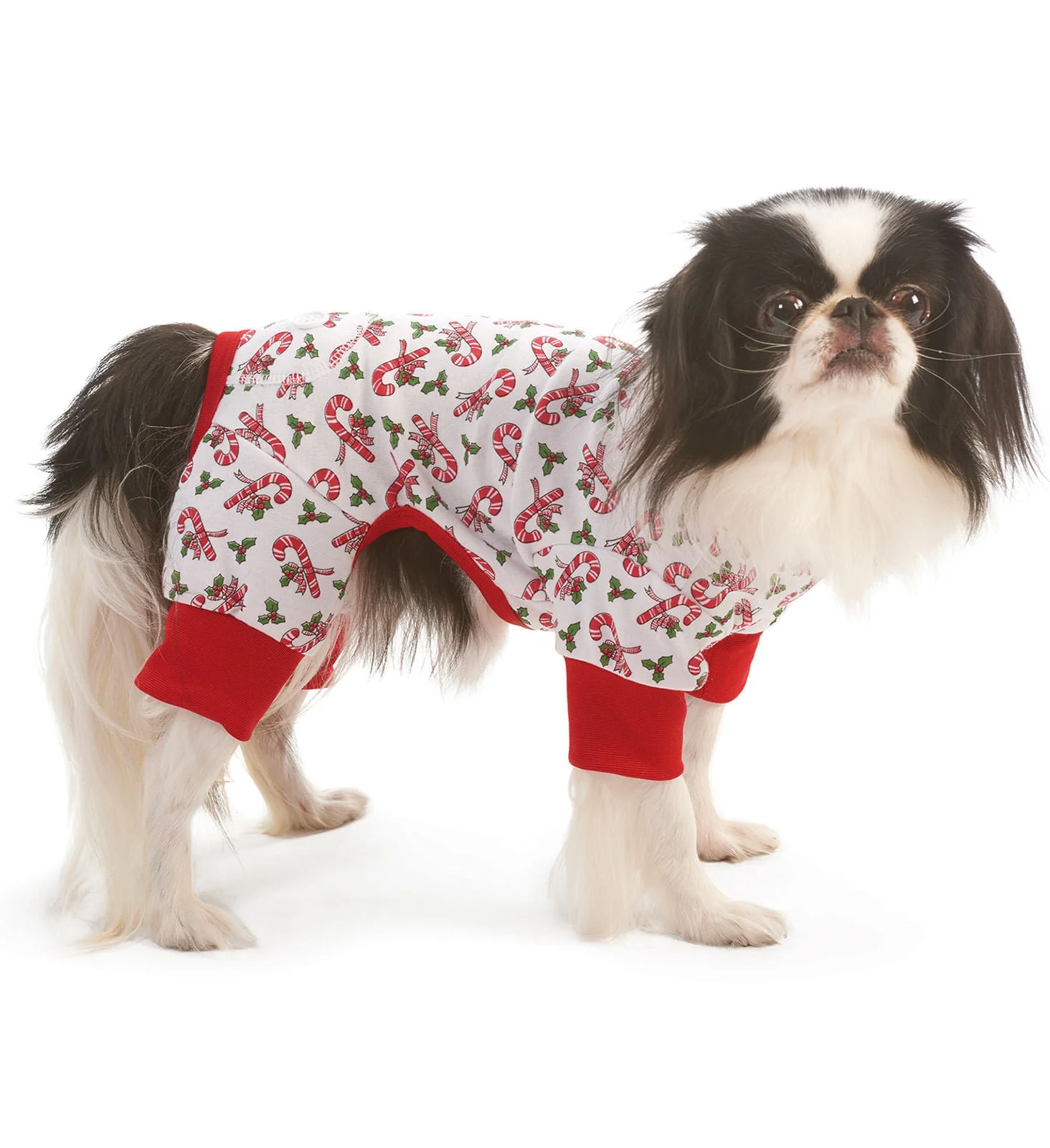Dog Christmas Pajamas, Candy Cane - Pet's Shop
