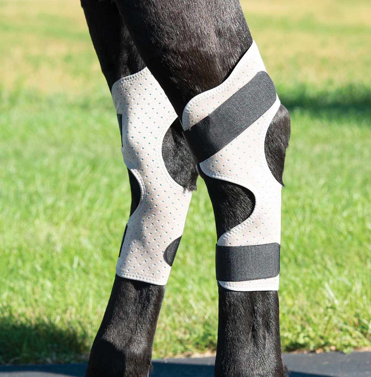 CoolCore Equine Icing and Cooling Hock Wraps - Pet's Shop
