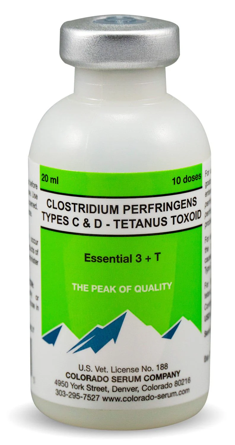 Essential 3 + T - Pet's Shop