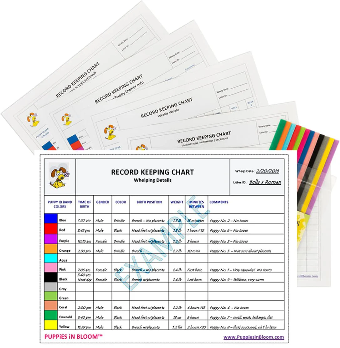 Puppies in Bloom Breeder Record Keeping Charts - Pet's Shop