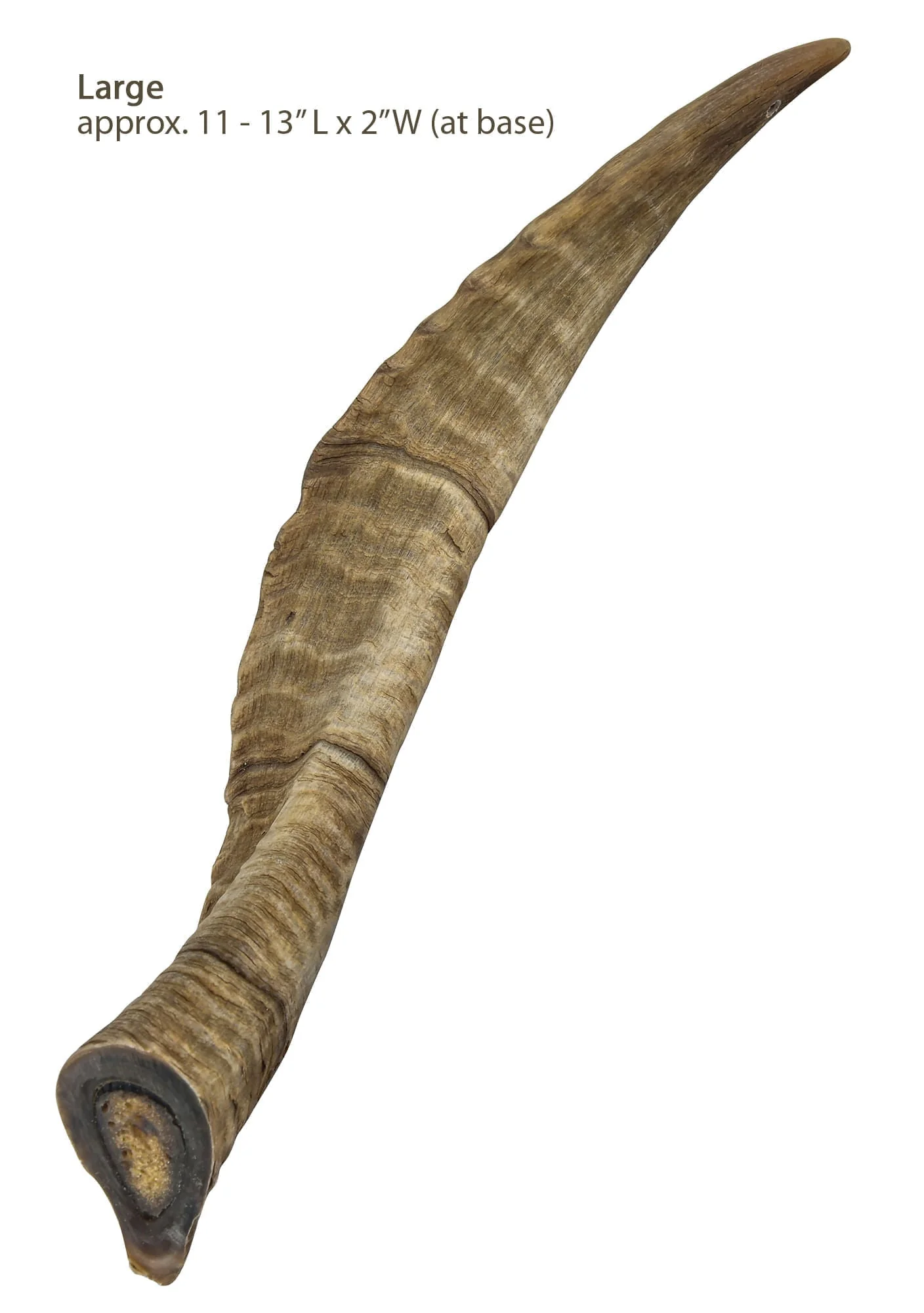Gobi Goat Horn Natural Dog Chew - Pet's Shop