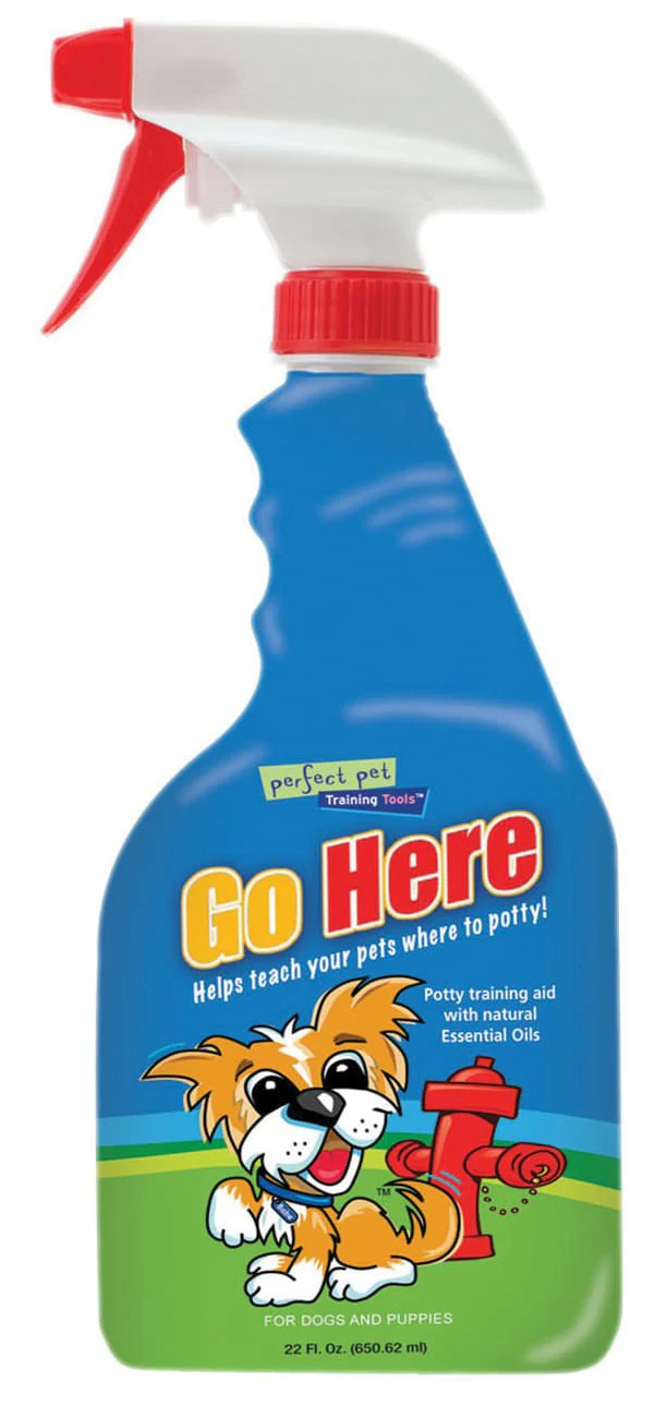 Go Here!, 22 oz - Pet's Shop