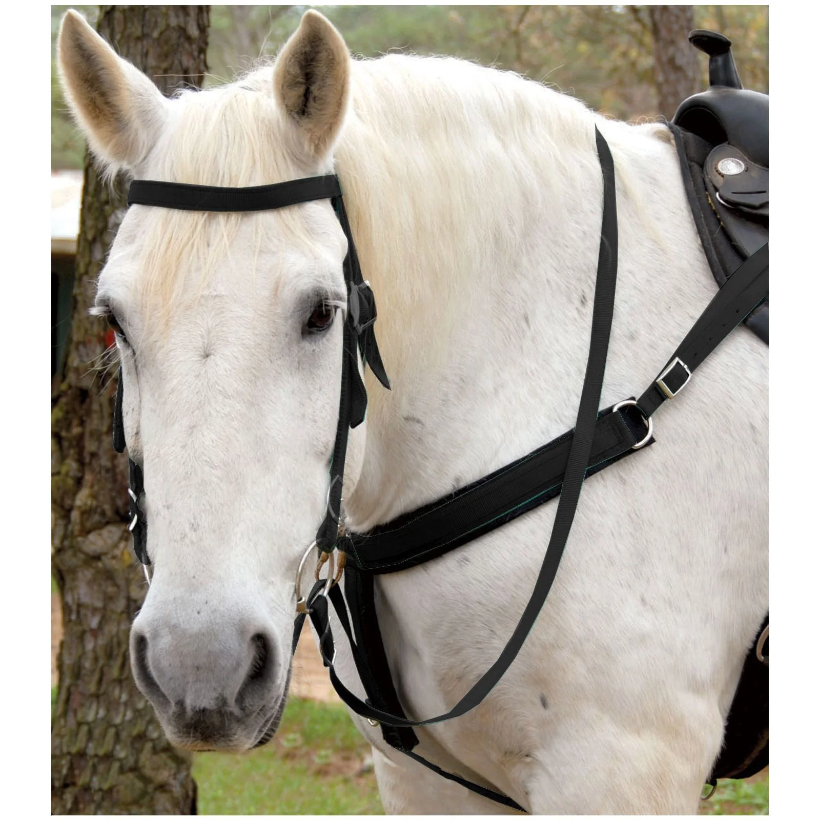 Triple E Nylon Draft Horse Bridle w/ Bit & Reins - Pet's Shop