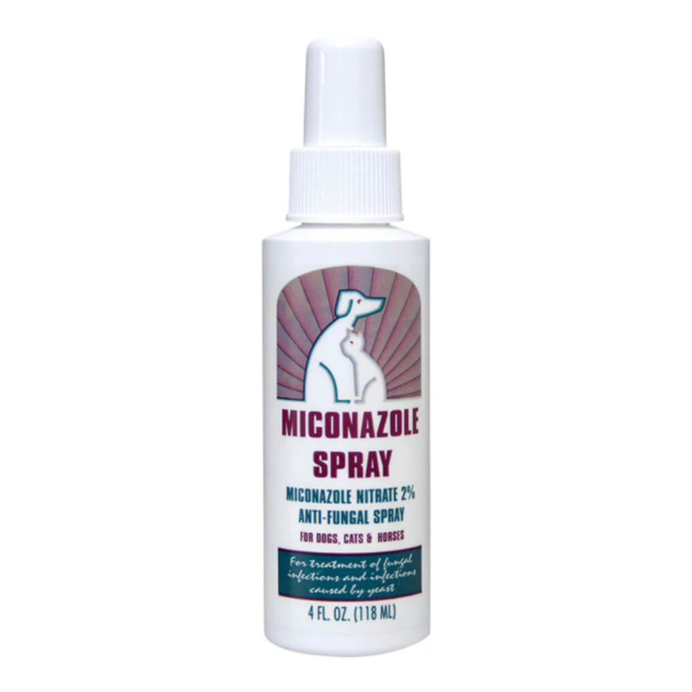 Rx Miconazole (miconazole nitrate 2%) Anti-Fungal Spray, 4 oz Bottle - Pet's Shop