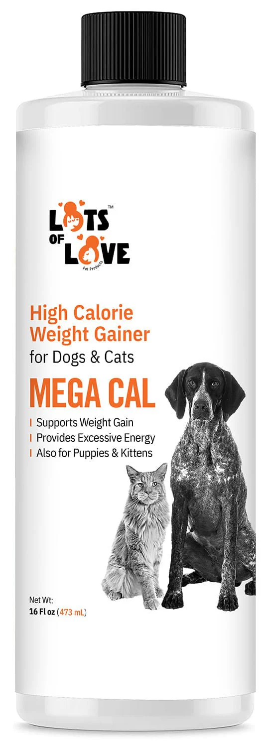 Lots of Love Mega Cal, 16 oz - Pet's Shop