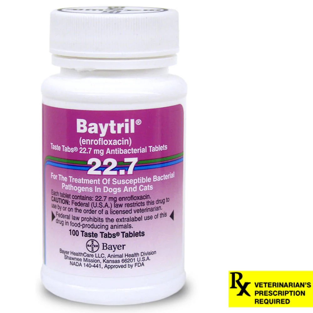 Rx Baytril for Dogs and Cats (Tablets) - Pet's Shop