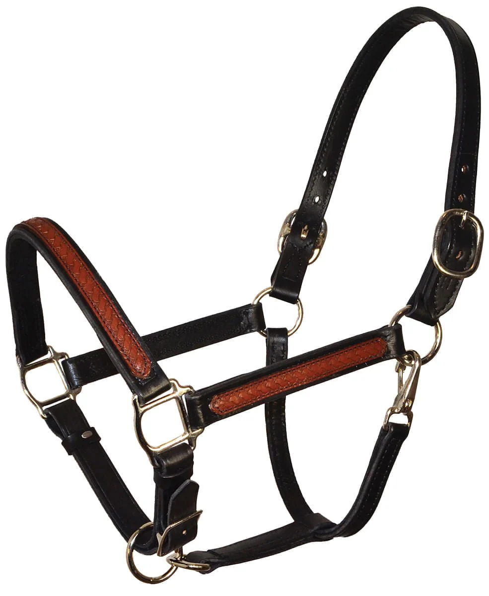 Perri's Leather Overlay Halter, Black/Brown - Pet's Shop