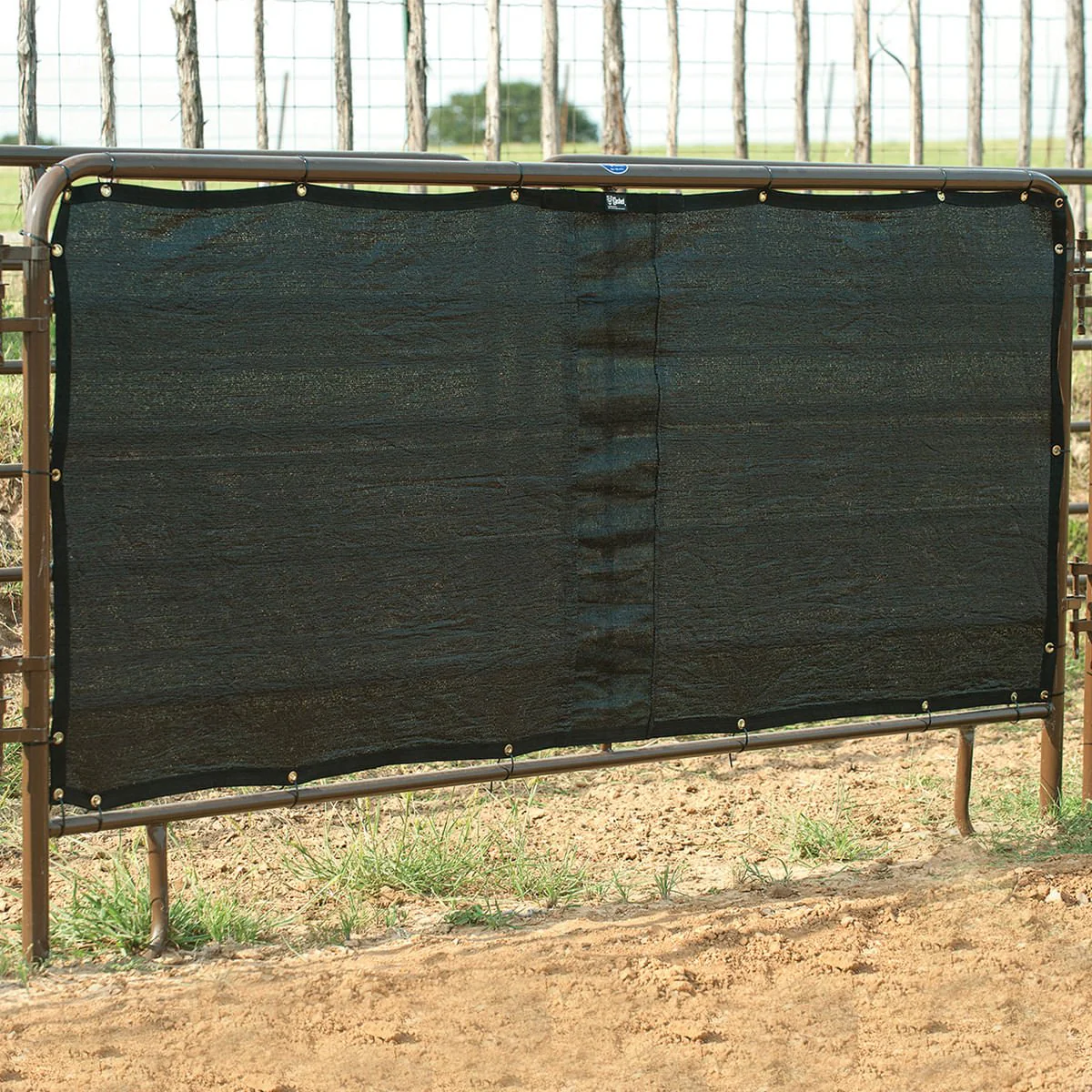 Panel Screen - Pet's Shop