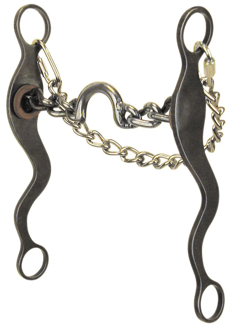 Reinsman Mike Beers Ported Chain Mouth Bit - Pet's Shop