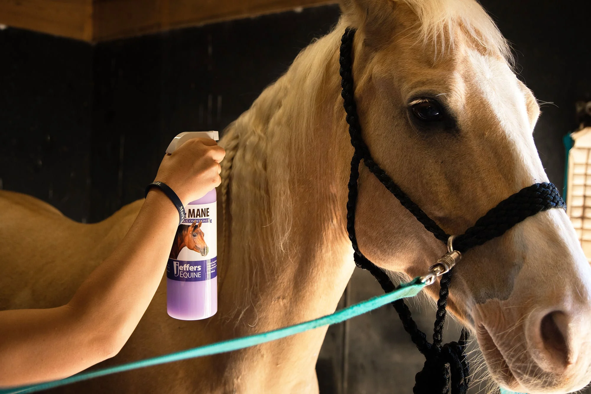 Equine Tail & Mane Detangler & Conditioner for Horses - Pet's Shop