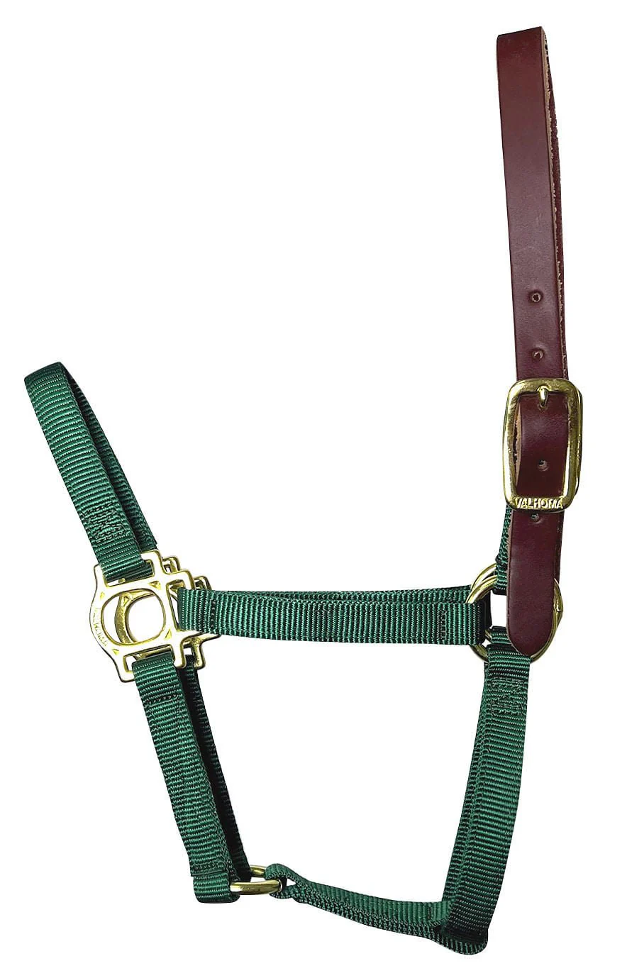Valhoma Foal & Yearling Premium Breakaway Nylon Halter with Leather Crown - Pet's Shop