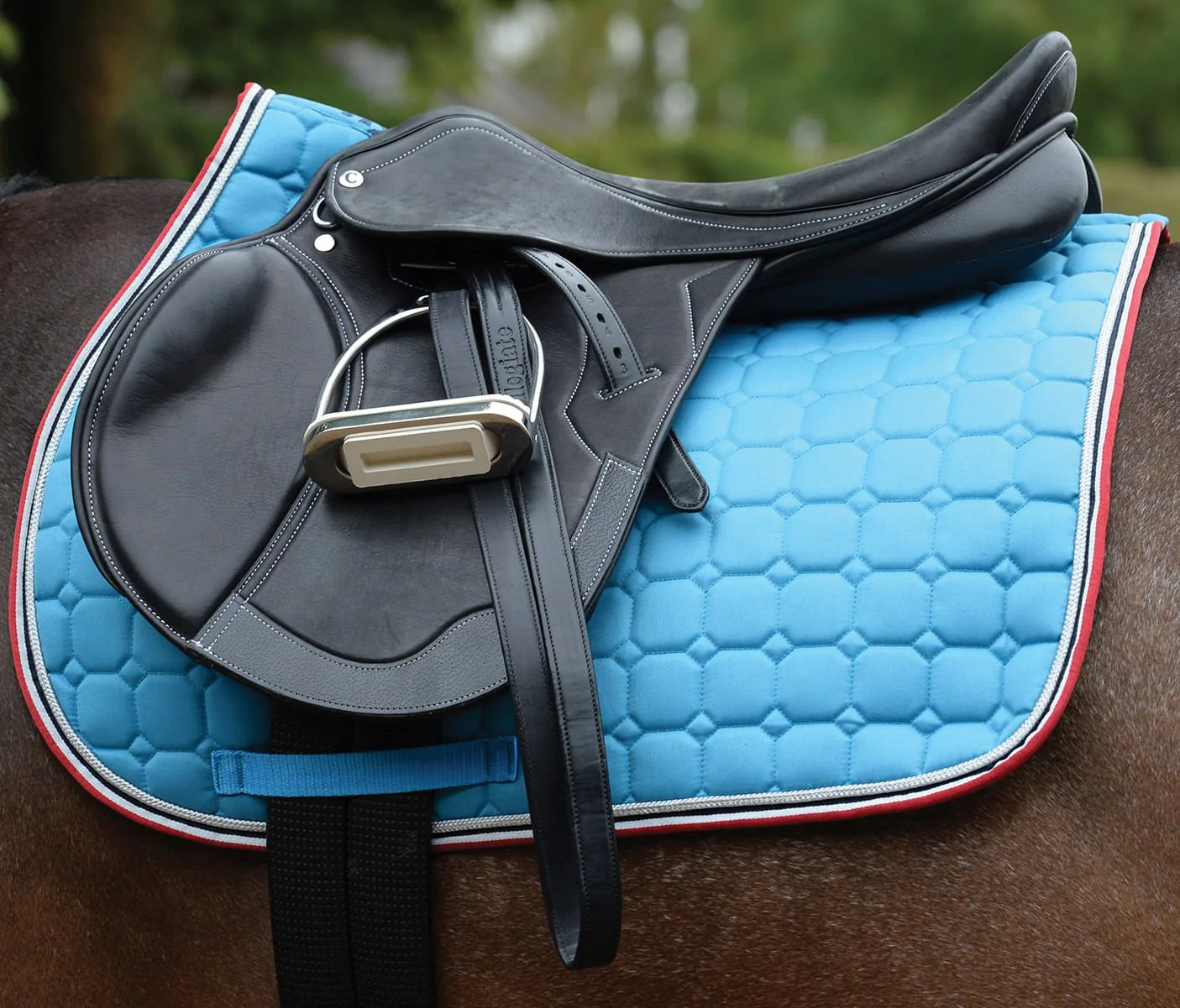 Saxon Coordinate Quilted All Purpose Saddle Pad - Pet's Shop