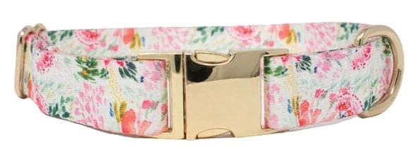 Pink Papyrus Isabella Collar, Floral - Pet's Shop