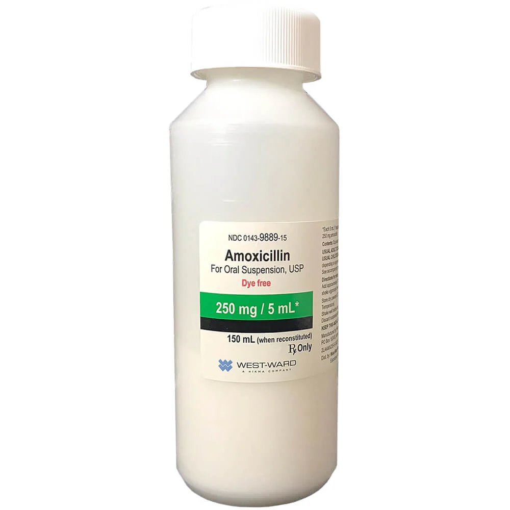 Rx Amoxicillin (Generic) Oral Suspension for Dogs & Cats - Pet's Shop
