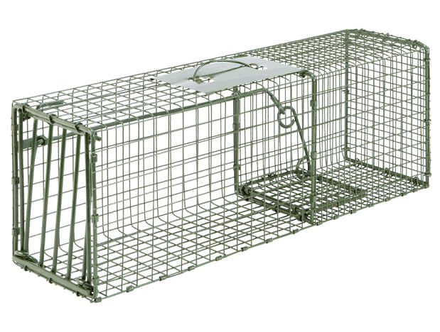 Duke Cage Traps Humane Live Animal  Catch Cage - Pet's Shop