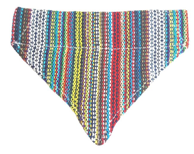 Walking Palm Dog Bandana - Pet's Shop