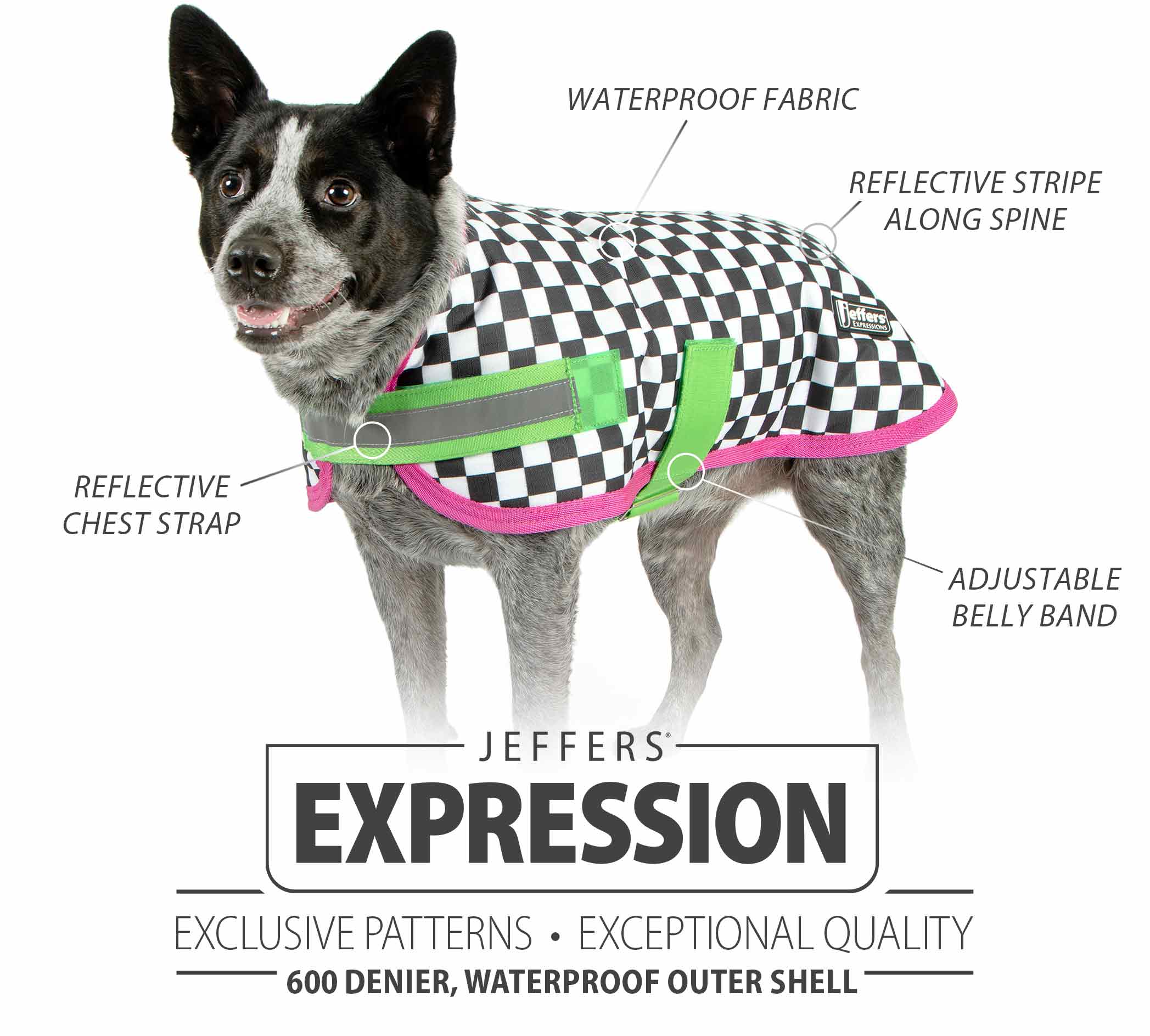Expression Waterproof Ripstop Dog Coat, Skater Pup - Pet's Shop
