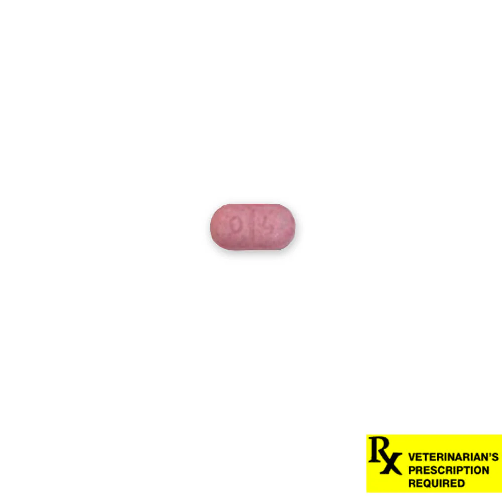 Rx Thyro-Tabs (levothyroxine sodium tablets) Tablets for Dogs - Pet's Shop
