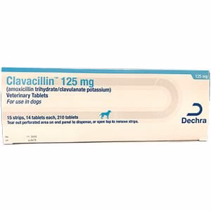 Rx Clavacillin (amoxicillin trihydrate/clavulanate potassium) Tablets for Dogs - Pet's Shop
