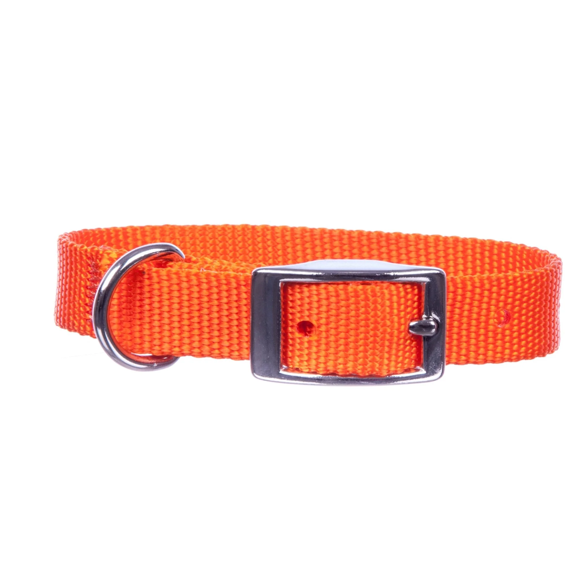 Web Nylon Dog Collar, 5/8