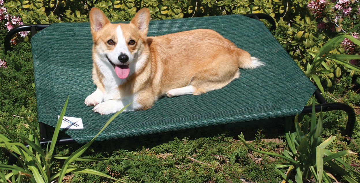 Coolaroo Pet Bed - Pet's Shop