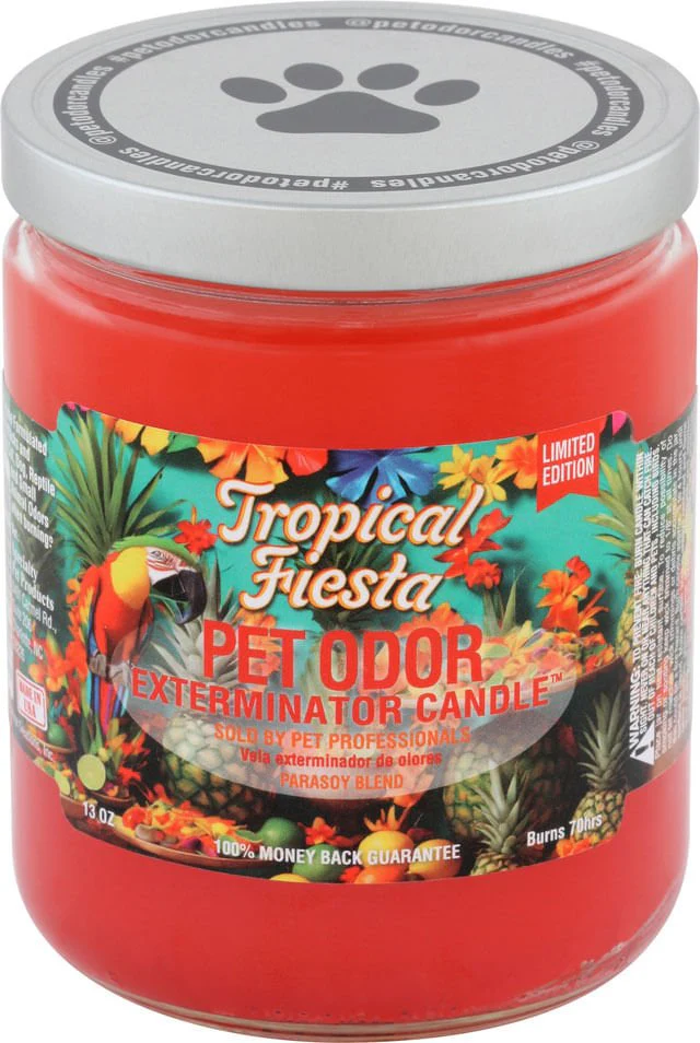 Pet Odor Exterminator Candle, Tropical Fiesta, 13 oz - Pet's Shop