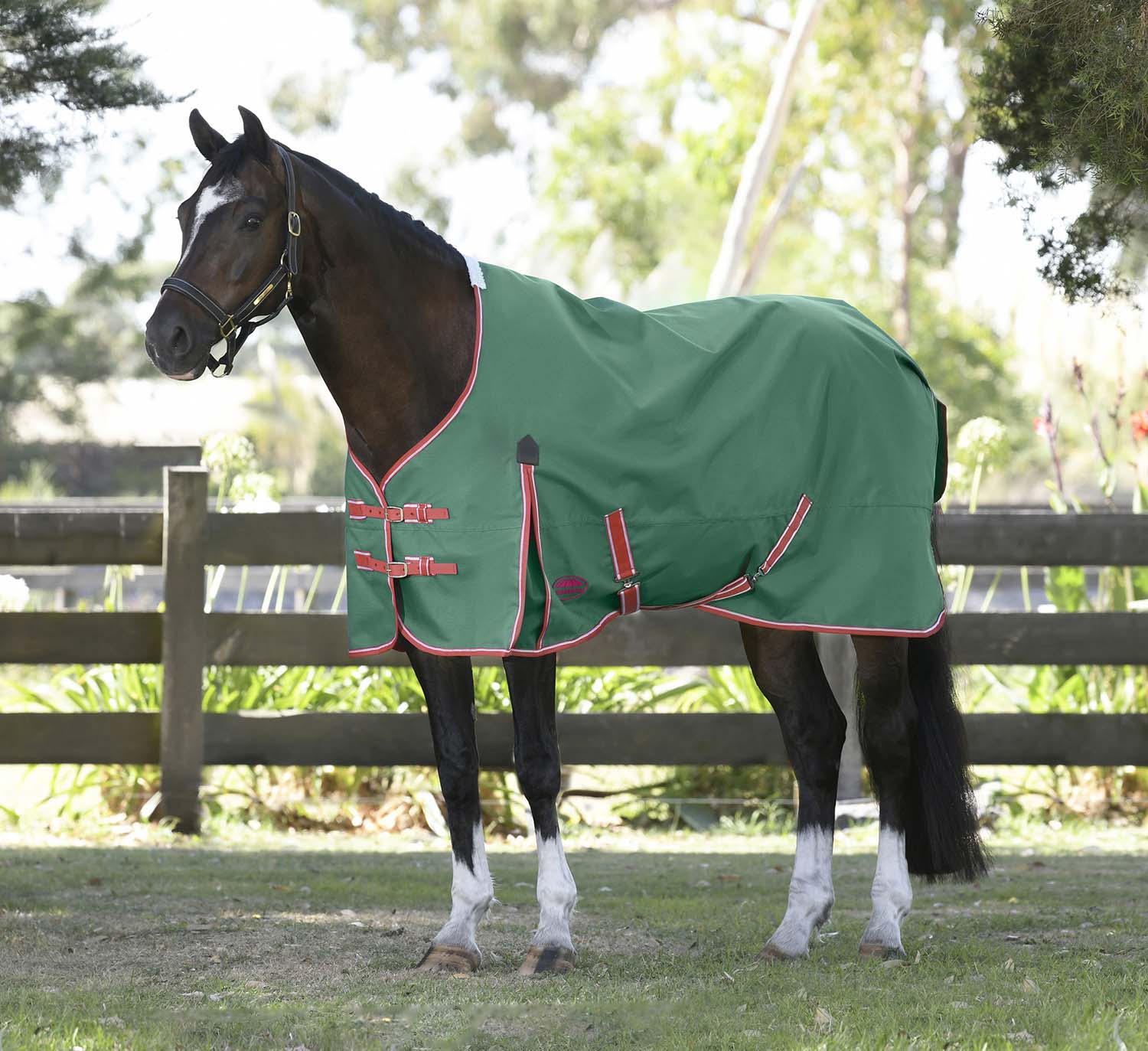 WeatherBeeta ComFITec Prelim Standard Neck Horse Turnout Sheet - Pet's Shop