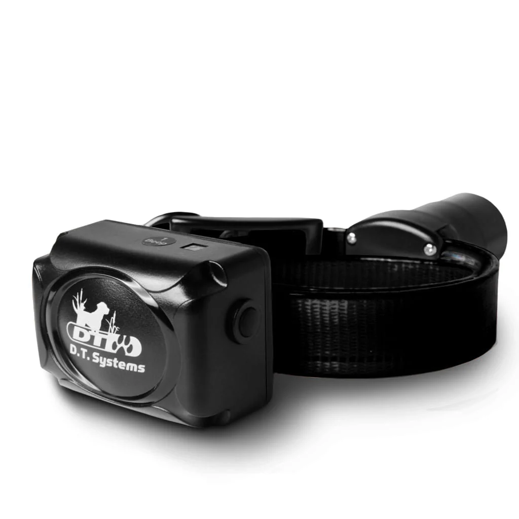 H20 1850 Upland Beeper Add-On Collar, Black - Pet's Shop