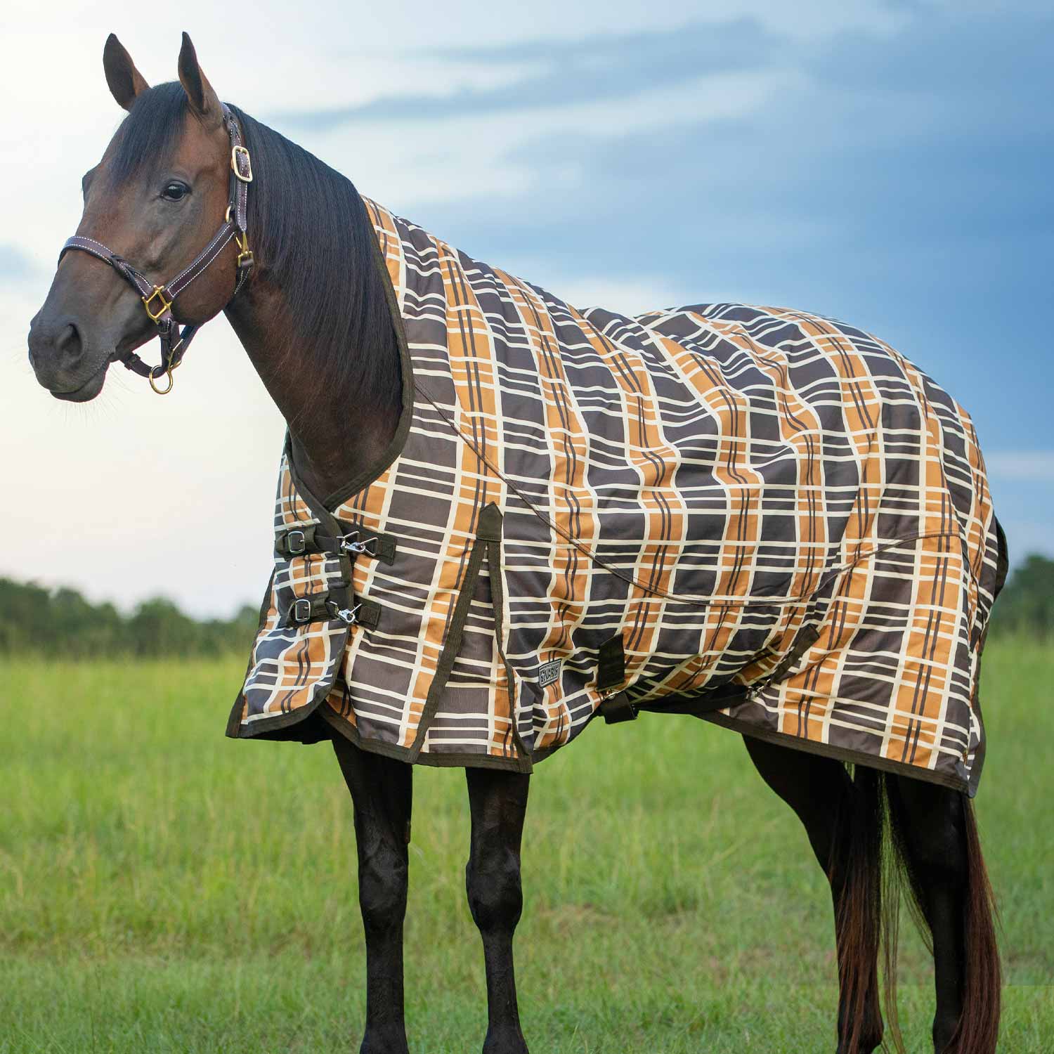Solaris Extended Neck Horse Turnout Blanket, 1200 Denier, Brown & Cream Plaid - Pet's Shop