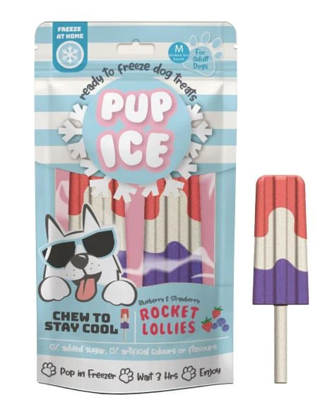 Pup Ice Rocket Lollies, 2pk - Pet's Shop