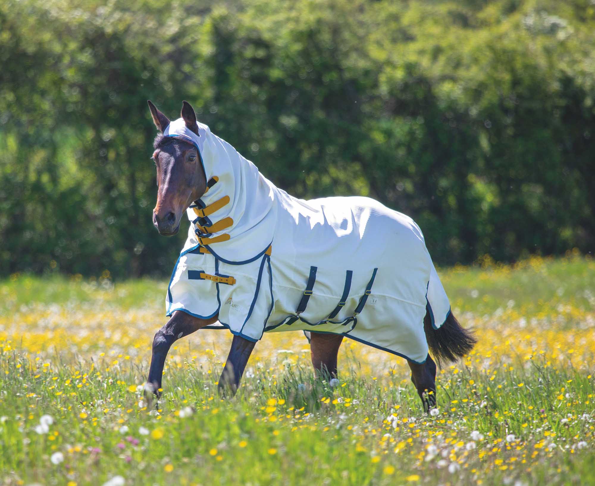 Highlander Plus Sweet-Itch Combo Sheet, White/Teal/Mustard - Pet's Shop