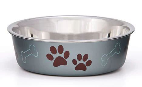 Medium Bella Bowl (1 qt) - Pet's Shop