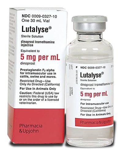 Rx Lutalyse (dinoprost tromethamine injection) Sterile Solution - Pet's Shop