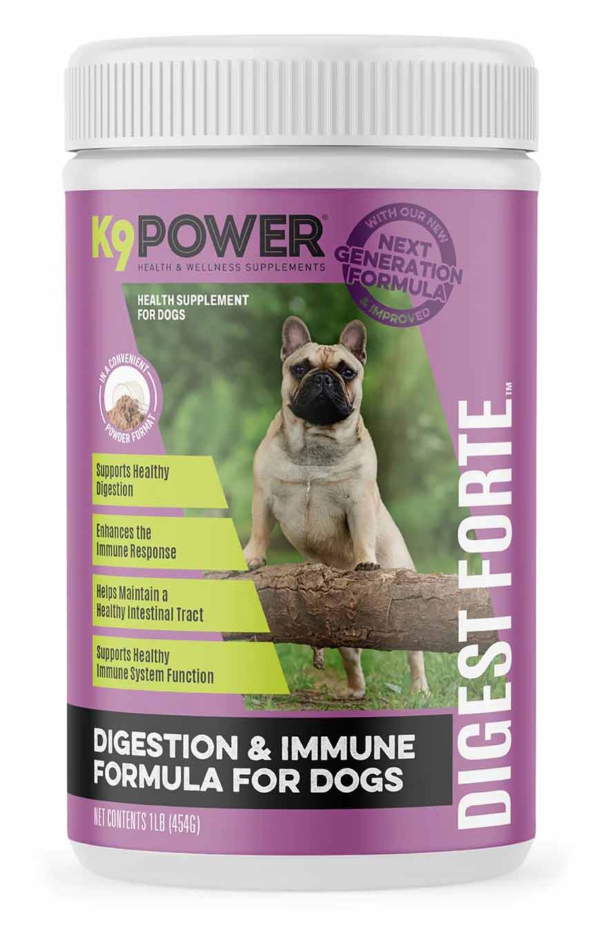 K9 Power Digest Forte Digestion & Immune Formula for Dogs - Pet's Shop
