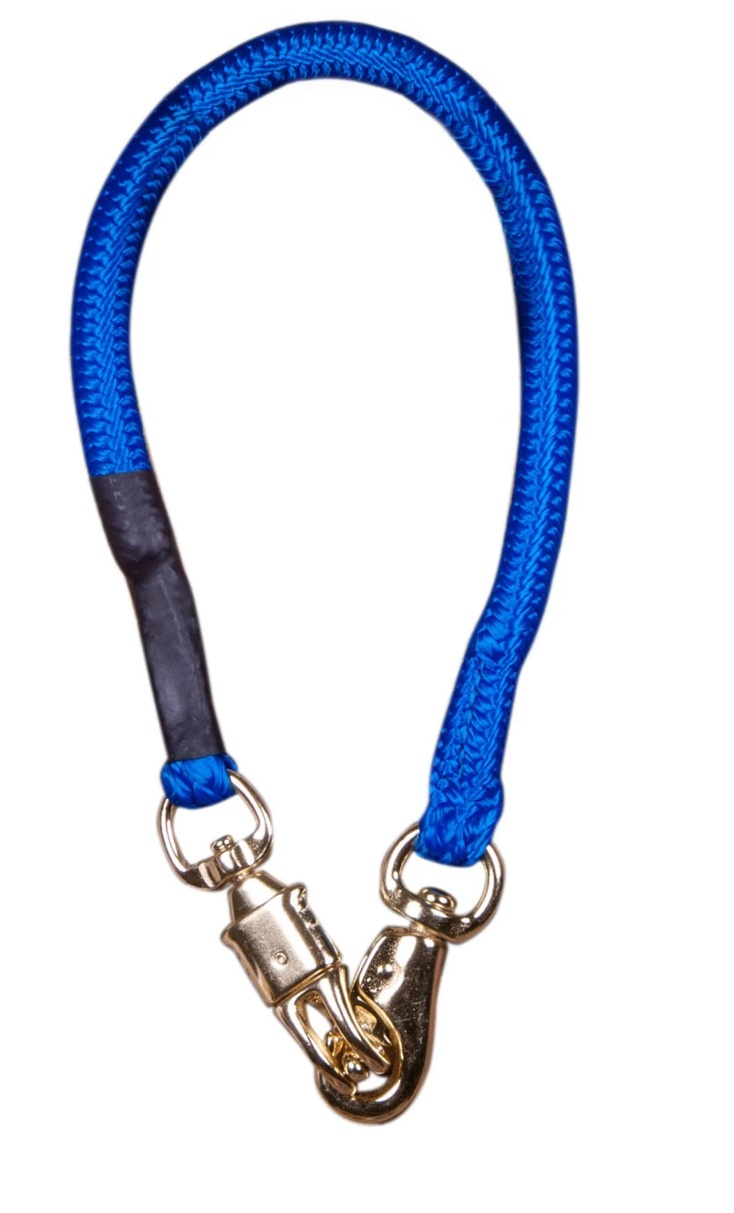 Colorful Bungee Trailer Tie - Pet's Shop