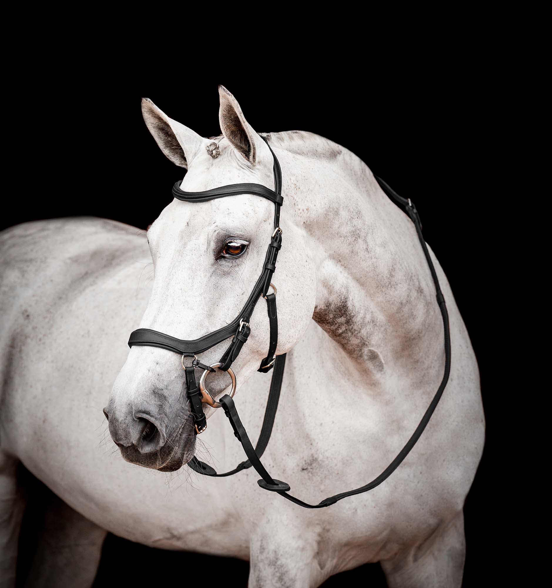 Micklem 2.0 Competition Bridle, Black - Pet's Shop