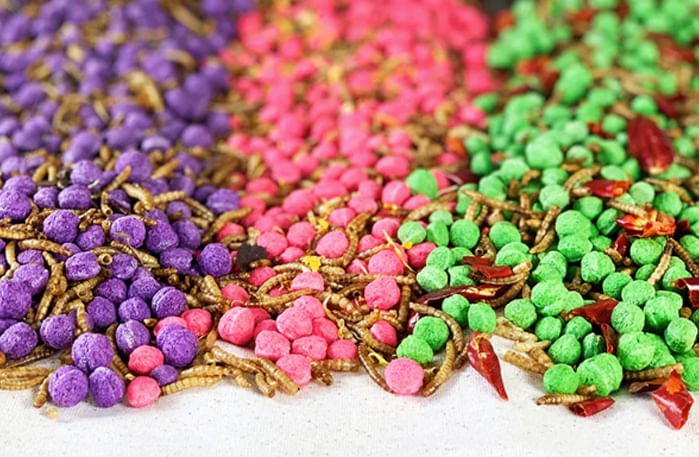 Happy Hen Free Range Feast Mealworm Blends for Chickens, 2 lb - Pet's Shop