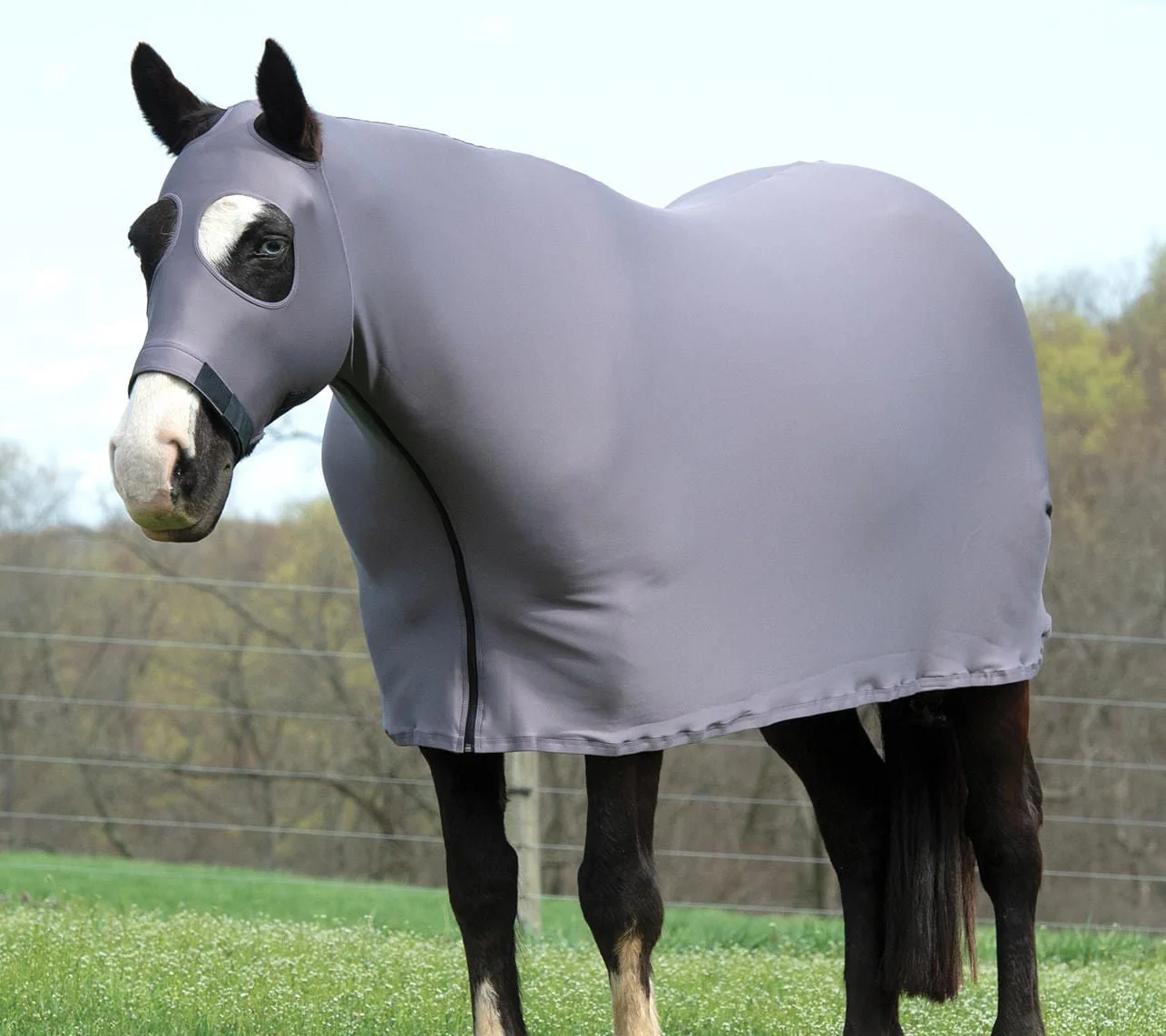 Coolcore Lycra Cooling Sheet for Horses w/ UV Protection - Pet's Shop