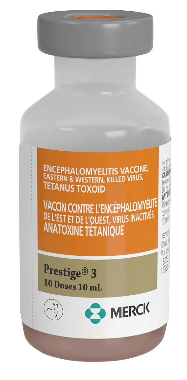 Prestige 3 - Pet's Shop