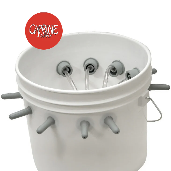 Caprine Feeding Outfit - Pet's Shop