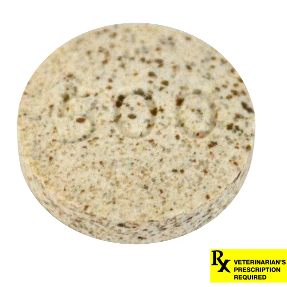 Rx K-BroVet (potassium bromide) Chewable Tablet for Dogs, Single Tab - Pet's Shop