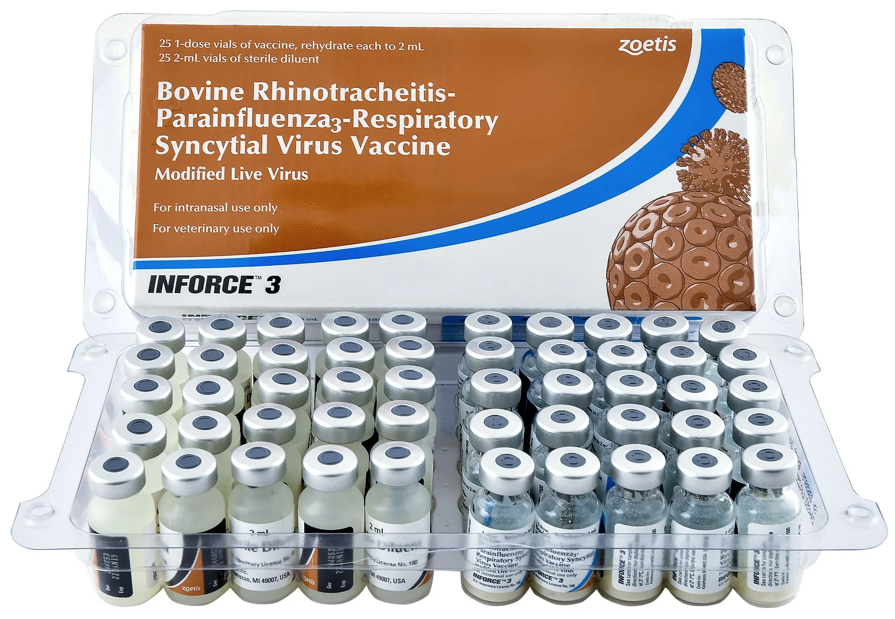 INFORCE 3 - Pet's Shop