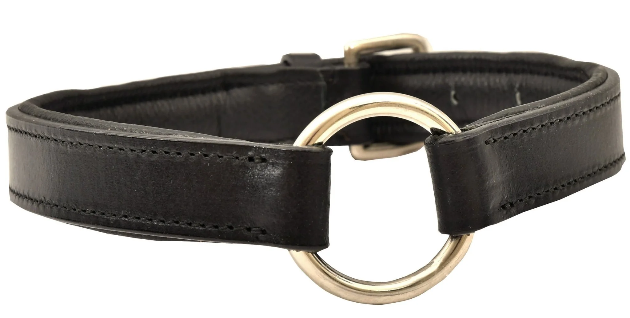 Padded Black Leather Dog Collars - Pet's Shop